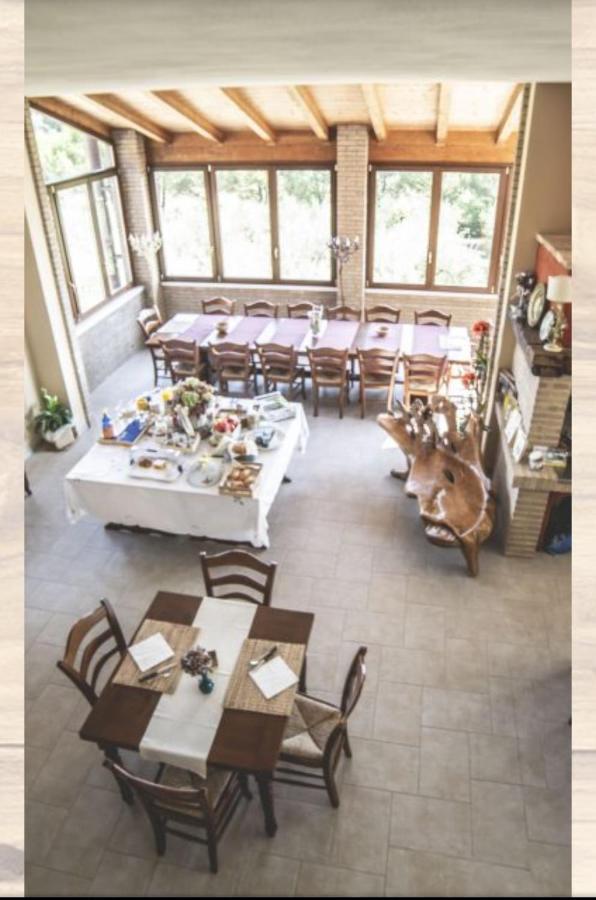 Bed and Breakfast La Casa Nella Prateria Misano Adriatico Zewnętrze zdjęcie