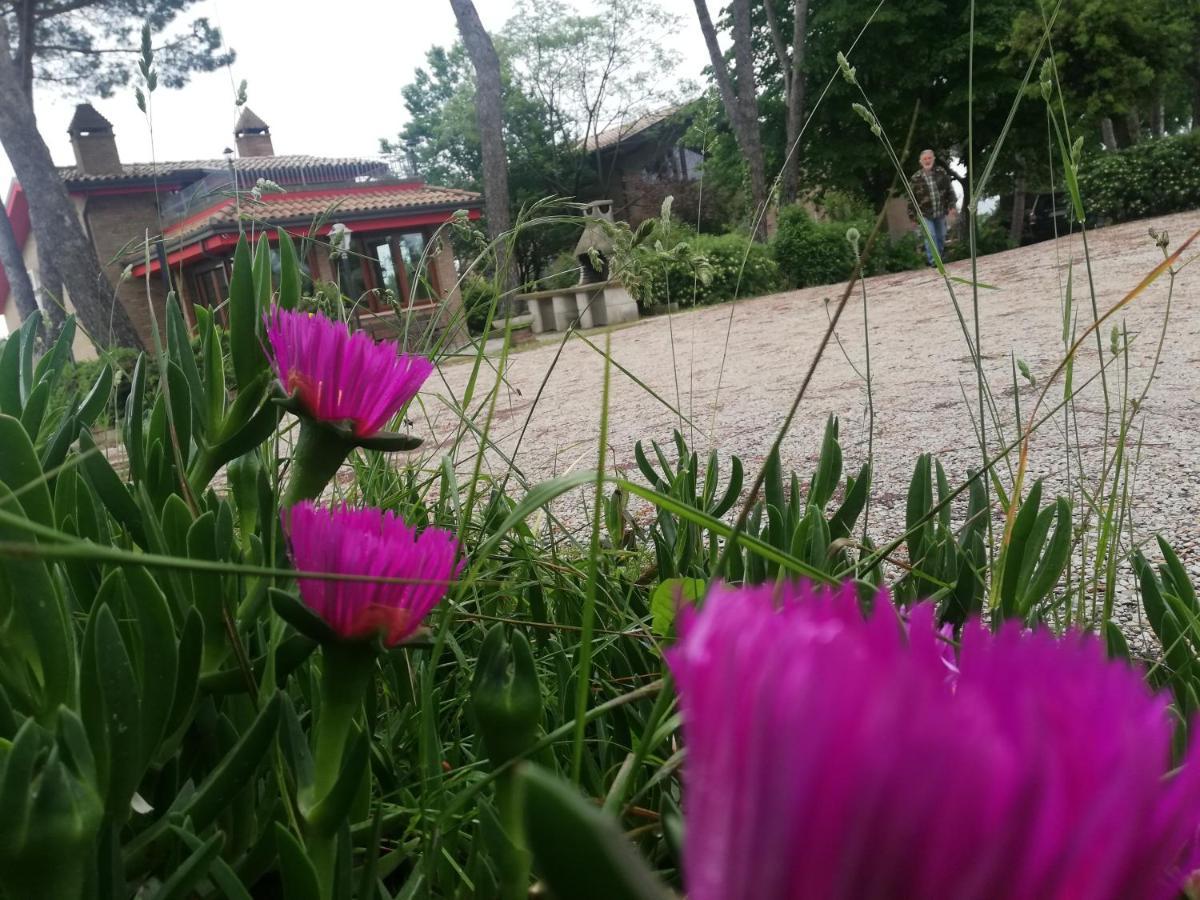 Bed and Breakfast La Casa Nella Prateria Misano Adriatico Zewnętrze zdjęcie
